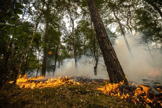 OOSTRUM - The fire department is battling a very large fire in the De Rosmolen nature reserve. Due to dry conditions, the fire was able to spread rapidly. ROB ENGELAAR ANP netherlands out - belgium out  Copyright: xx x564824043x originalFilename: 564824043.jpg