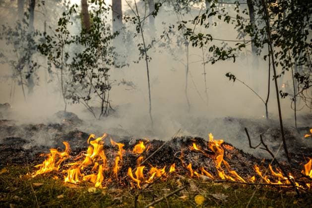 OOSTRUM - The fire department is battling a very large fire in the De Rosmolen nature reserve. Due to dry conditions, the fire was able to spread rapidly. ROB ENGELAAR ANP netherlands out - belgium out  Copyright: xx x564824059x originalFilename: 564824059.jpg