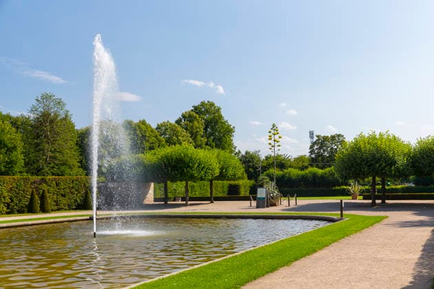 Ein seltenes Naturschauspiel ist momentan am Schloss Wackerbarth zu sehen. Eine Agave hat einen etwa 7m hohen Blütenstand und zieht mit ihren Blüten viele Insekten an. Radebeul, Sachsen, Deutschland *** A rare natural spectacle can currently be seen at Wackerbarth Castle. An agave has an inflorescence about 7 meters high, and its flowers are attracting many insects. Radebeul, Saxony, Germany