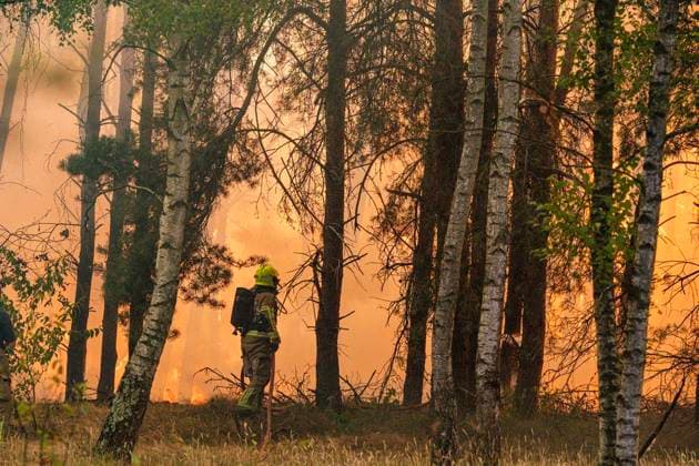Großbrand Waldgebiet Oostrum NL ** NUR FÜR REDAKTIONELLE ZWECKE ** EDITORIAL USE ONLY **<p>Löschhubschrauber löschen am 3.8.2026 ein Feuer in einem Naturschutzgebiet in den Niederlanden. Foto : Arnulf Stoffel Funke Foto Services < p> Buntes Niederlande Gelderland Oostrum Copyright: ArnulfxStoffel *** Major Fire in Oostrum Forest Area, NL ** FOR EDITORIAL USE ONLY ** EDITORIAL USE ONLY ** p Firefighting helicopters extinguish a fire in a nature reserve in the Netherlands on August 3, 2026. Photo by Arnulf Stoffel, Funke Foto Services p Colorful Netherlands, Gelderland, Oostrum. Copyright ArnulfxStoffel Copyright: ArnulfxStoffel doc8704ns7ndyp1mmtf5lzn ,EDITORIAL USE ONLY