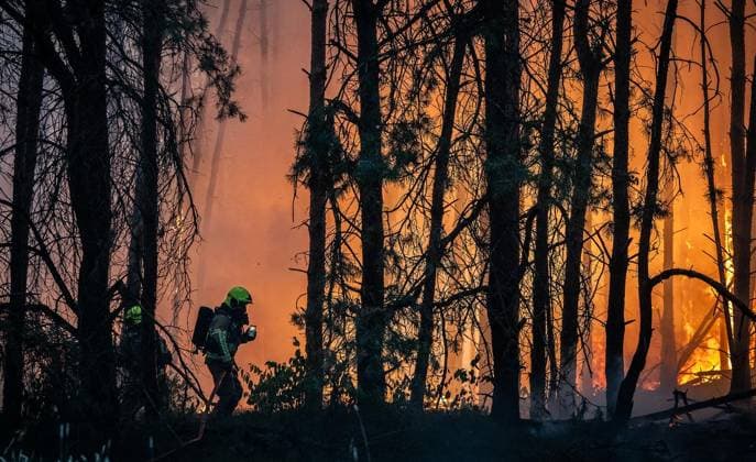 Waldbrand im Naturschutzgebiet Bos bei Venlo ** NUR FÜR REDAKTIONELLE ZWECKE ** EDITORIAL USE ONLY **<p>Niederländische Feuerwehren bekämpfen am Montag,03.August.2026, einen Waldbrand im Naturschutzgebiet Bos bei Venlo. Deutschland NRW Venlo Copyright: KaixKitschenberg *** Forest Fire in the Bos Nature Reserve near Venlo ** FOR EDITORIAL USE ONLY ** EDITORIAL USE ONLY ** p Dutch fire departments are battling a forest fire on Monday, August 3, 2026, in the Bos Nature Reserve near Venlo, Germany, North Rhine-Westphalia, Venlo. Copyright KaixKitschenberg Copyright: KaixKitschenberg doc8704tvk5f83l85yplzn ,EDITORIAL USE ONLY