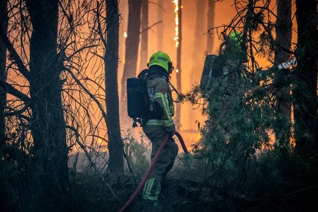 Waldbrand im Naturschutzgebiet Bos bei Venlo ** NUR FÜR REDAKTIONELLE ZWECKE ** EDITORIAL USE ONLY **<p>Niederländische Feuerwehren bekämpfen am Montag,03.August.2026, einen Waldbrand im Naturschutzgebiet Bos bei Venlo. Deutschland NRW Venlo Copyright: KaixKitschenberg *** Forest Fire in the Bos Nature Reserve near Venlo ** FOR EDITORIAL USE ONLY ** EDITORIAL USE ONLY ** p Dutch fire departments are battling a forest fire on Monday, August 3, 2026, in the Bos Nature Reserve near Venlo, Germany, North Rhine-Westphalia, Venlo. Copyright KaixKitschenberg Copyright: KaixKitschenberg doc8704txgsx4p54yrnl04 ,EDITORIAL USE ONLY