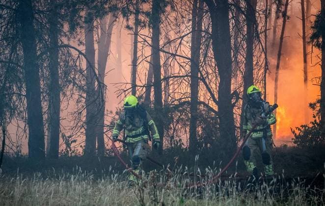 Waldbrand im Naturschutzgebiet Bos bei Venlo ** NUR FÜR REDAKTIONELLE ZWECKE ** EDITORIAL USE ONLY **<p>Niederländische Feuerwehren bekämpfen am Montag,03.August.2026, einen Waldbrand im Naturschutzgebiet Bos bei Venlo. Deutschland NRW Venlo Copyright: KaixKitschenberg *** Forest Fire in the Bos Nature Reserve near Venlo ** FOR EDITORIAL USE ONLY ** EDITORIAL USE ONLY ** p Dutch fire departments are battling a forest fire on Monday, August 3, 2026, in the Bos Nature Reserve near Venlo, Germany, North Rhine-Westphalia, Venlo. Copyright KaixKitschenberg Copyright: KaixKitschenberg doc8704uvwbec3bx60llzn ,EDITORIAL USE ONLY