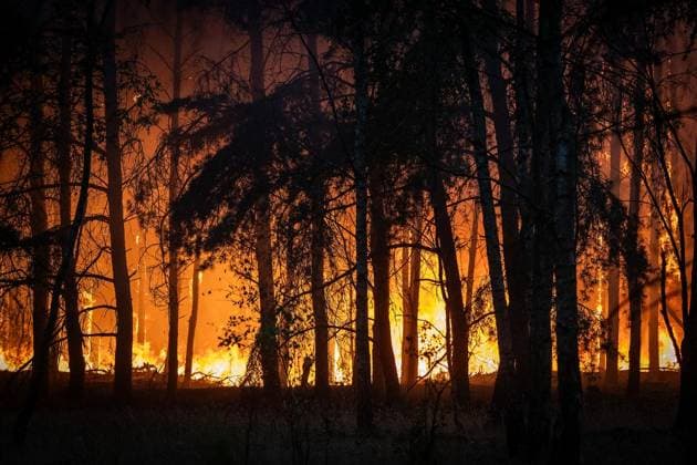 Waldbrand im Naturschutzgebiet Bos bei Venlo ** NUR FÜR REDAKTIONELLE ZWECKE ** EDITORIAL USE ONLY **<p>Niederländische Feuerwehren bekämpfen am Montag,03.August.2026, einen Waldbrand im Naturschutzgebiet Bos bei Venlo. Deutschland NRW Venlo Copyright: KaixKitschenberg *** Forest Fire in the Bos Nature Reserve near Venlo ** FOR EDITORIAL USE ONLY ** EDITORIAL USE ONLY ** p Dutch fire departments are battling a forest fire on Monday, August 3, 2026, in the Bos Nature Reserve near Venlo, Germany, North Rhine-Westphalia, Venlo. Copyright KaixKitschenberg Copyright: KaixKitschenberg doc8704vsxkos0ofcoulzn ,EDITORIAL USE ONLY