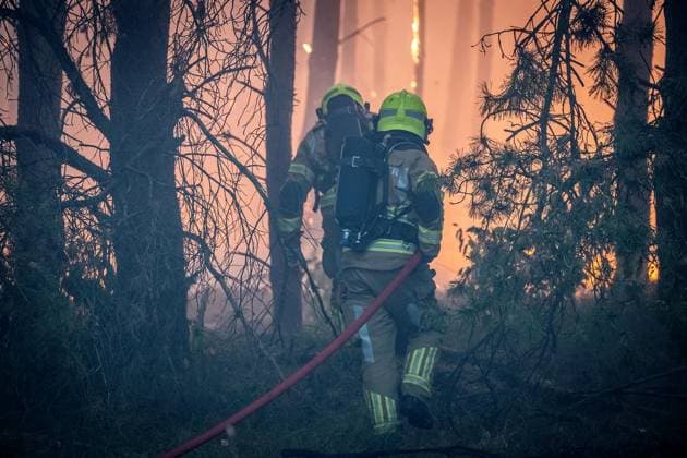 Waldbrand im Naturschutzgebiet Bos bei Venlo ** NUR FÜR REDAKTIONELLE ZWECKE ** EDITORIAL USE ONLY **<p>Niederländische Feuerwehren bekämpfen am Montag,03.August.2026, einen Waldbrand im Naturschutzgebiet Bos bei Venlo. Deutschland NRW Venlo Copyright: KaixKitschenberg *** Forest Fire in the Bos Nature Reserve near Venlo ** FOR EDITORIAL USE ONLY ** EDITORIAL USE ONLY ** p Dutch fire departments are battling a forest fire on Monday, August 3, 2026, in the Bos Nature Reserve near Venlo, Germany, North Rhine-Westphalia, Venlo. Copyright KaixKitschenberg Copyright: KaixKitschenberg doc8704ur3y0431fgrqcl04 ,EDITORIAL USE ONLY