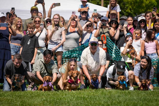 (260804) -- COQUITLAM, Aug. 4, 2026 -- Spectators watch dachshunds compete during the BC Fast & Furriest Races at Town Centre Park in Coquitlam, British Columbia, Canada, on Aug. 3, 2026. (Photo by Xinhua) CANADA-COQUITLAM-DOG RACES LiangxSen 