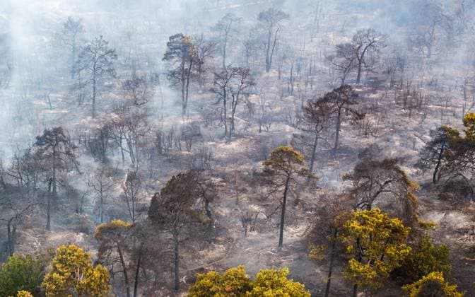 Creative Highlights World OOSTRUM - Drone photo of a large wildfire in North Limburg. The wildfire in a forest area in North Limburg is still not under control. The fire department is extinguishing the fire with many units to put it out. Approximately 100 hectares of forest have been lost to the fire. ANP JEFFREY GROENEWEG netherlands out - belgium out  Copyright: xx x564852811x originalFilename: 564852811.jpg