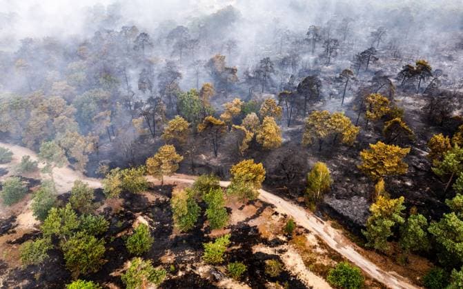 OOSTRUM - Drone photo of a large wildfire in North Limburg. The wildfire in a forest area in North Limburg is still not under control. The fire department is extinguishing the fire with many units to put it out. Approximately 100 hectares of forest have been lost to the fire. ANP JEFFREY GROENEWEG netherlands out - belgium out  Copyright: xx x564852809x originalFilename: 564852809.jpg
