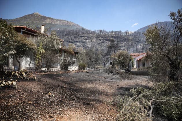 Wildfire continues for fourth day in Psatha, Greece PSATHA, GREECE - AUGUST 04: Burned houses and olive trees are seen in the aftermath of a wildfire in Psatha, Greece, on August 04, 2026. Thousands of square meters of forest, along with several houses, have been destroyed. Although the fire fronts have calmed after four days of intense burning, authorities remain on alert. Aris Oikonomou Anadolu Psatha Greece. Editorial use only. Please get in touch for any other usage.  Copyright: x2026xAnadoluxArisxOikonomoux