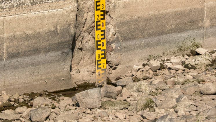 Die Pegel sinken weiter. Anhaltende Trockenheit verschärft das Niedrigwasser an den deutschen Flüssen weiter. Betroffen ist auch die Elbe bei Dresden. In Dresden zeigte die Pegelanzeige am Dienstagnachmittag nur noch 40 cm an. Die Dampfschifffahrt steht fast komplett still und sitzt auf dem Trockenen. Einheimische gehen mitten in der Elbe, auf kleinen Inseln, baden. Dort, wo eigentlich die Elbe entlang fließt, ist mittlerweile viel Wildwuchs entstanden. Und auch aus Tschechien kommt kaum Wasser nach. Die Situation wird mit Tag zu Tag immer dramatischer. Dresden Sachsen Deutschland *** Water levels continue to drop. Persistent drought is further exacerbating low water levels in German rivers. The Elbe near Dresden is also affected. In Dr