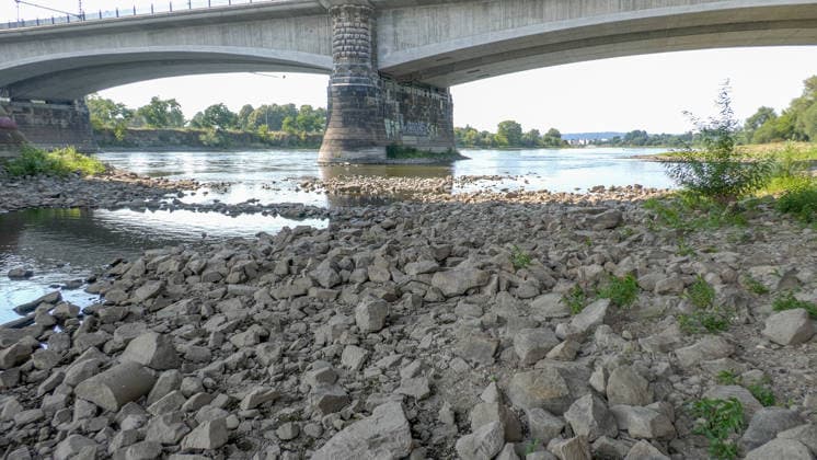 Die Pegel sinken weiter. Anhaltende Trockenheit verschärft das Niedrigwasser an den deutschen Flüssen weiter. Betroffen ist auch die Elbe bei Dresden. In Dresden zeigte die Pegelanzeige am Dienstagnachmittag nur noch 40 cm an. Die Dampfschifffahrt steht fast komplett still und sitzt auf dem Trockenen. Einheimische gehen mitten in der Elbe, auf kleinen Inseln, baden. Dort, wo eigentlich die Elbe entlang fließt, ist mittlerweile viel Wildwuchs entstanden. Und auch aus Tschechien kommt kaum Wasser nach. Die Situation wird mit Tag zu Tag immer dramatischer. Dresden Sachsen Deutschland *** Water levels continue to drop. Persistent drought is further exacerbating low water levels in German rivers. The Elbe near Dresden is also affected. In Dr