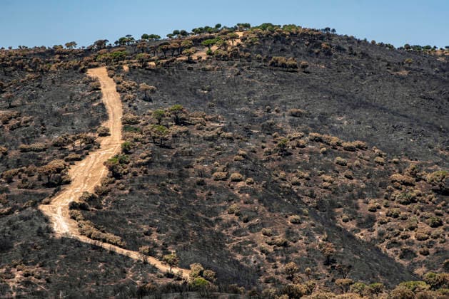 Leo Messi Donates 80,000 Euros for the Reconstruction of Madrid’s Sierra Oeste After the Wildfire View after the wildfire, on August 4, 2026, in Navas del Rey, Madrid, Spain The president of the Community of Madrid, Isabel Díaz Ayuso, announced on Tuesday that soccer player Leo Messi has donated 80,000 euros for the reconstruction of the region’s Sierra Oeste following the wildfire that has scorched nearly 30,000 hectares. The Community of Madrid has launched a website to channel donations from citizens and companies to support those affected by the fires that impacted 17 municipalities in the Sierra Oeste August 4, 2026 FIRE SCORCHED LAND DONATION MESSI NATURE LANDSCAPE SIERRA OESTE MADRID FIRE MADRID HECTAREBURNT TREES BURNT LAND Navas d  Copyright: xGabrixSolerax 7701736