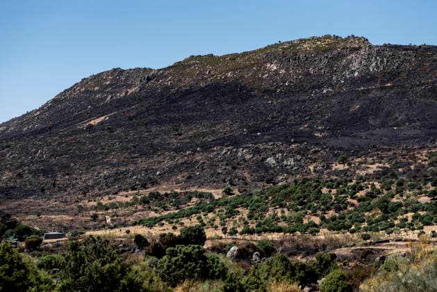Leo Messi Donates 80,000 Euros for the Reconstruction of Madrid’s Sierra Oeste After the Wildfire View after the wildfire, on August 4, 2026, in Robledo de Chavela, Madrid, Spain. The president of the Community of Madrid, Isabel Díaz Ayuso, announced on Tuesday that soccer player Leo Messi has donated 80,000 euros for the reconstruction of the region’s Sierra Oeste following the wildfire that has scorched nearly 30,000 hectares. The Community of Madrid has launched a website to channel donations from citizens and companies for those affected by the fires that impacted 17 municipalities in the Sierra Oeste August 4, 2026 FIRE SCORCHED LAND DONATION MESSI NATURE LANDSCAPE SIERRA OESTE MADRID FIRE MADRID HECTAREBURNT TREES BURNT LAND Robledo  Copyright: xGabrixSolerax 7701738