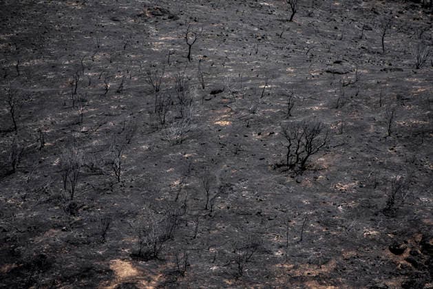 Leo Messi Donates 80,000 Euros for the Reconstruction of Madrid’s Sierra Oeste After the Wildfire View after the wildfire, on August 4, 2026, in Villa del Prado, Madrid, Spain. The president of the Community of Madrid, Isabel Díaz Ayuso, announced on Tuesday that soccer player Leo Messi has donated 80,000 euros for the reconstruction of the region’s Sierra Oeste following the wildfire that has scorched nearly 30,000 hectares. The Community of Madrid has launched a website to channel donations from citizens and companies to support those affected by the fires that impacted 17 municipalities in the Sierra Oeste August 4, 2026 FIRE SCORCHED LAND DONATION MESSI NATURE LANDSCAPE SIERRA OESTE MADRID FIRE MADRID HECTAREBURNT TREES BURNT LAND VILL  Copyright: xGabrixSolerax 7701743