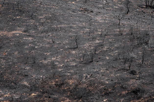 Leo Messi Donates 80,000 Euros for the Reconstruction of Madrid’s Sierra Oeste After the Wildfire View after the wildfire, on August 4, 2026, in Villa del Prado, Madrid, Spain. The president of the Community of Madrid, Isabel Díaz Ayuso, announced on Tuesday that soccer player Leo Messi has donated 80,000 euros for the reconstruction of the region’s Sierra Oeste following the wildfire that has scorched nearly 30,000 hectares. The Community of Madrid has launched a website to channel donations from citizens and companies to support those affected by the fires that impacted 17 municipalities in the Sierra Oeste August 4, 2026 FIRE SCORCHED LAND DONATION MESSI NATURE LANDSCAPE SIERRA OESTE MADRID FIRE MADRID HECTAREBURNT TREES BURNT LAND VILL  Copyright: xGabrixSolerax 7701746