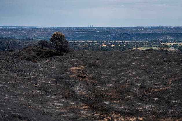 Leo Messi Donates 80,000 Euros for the Reconstruction of Madrid’s Sierra Oeste After the Wildfire View after the wildfire, on August 4, 2026, in Villa del Prado, Madrid, Spain. The president of the Community of Madrid, Isabel Díaz Ayuso, announced on Tuesday that soccer player Leo Messi has donated 80,000 euros for the reconstruction of the region’s Sierra Oeste following the wildfire that has scorched nearly 30,000 hectares. The Community of Madrid has launched a website to channel donations from citizens and companies to support those affected by the fires that impacted 17 municipalities in the Sierra Oeste August 4, 2026 FIRE SCORCHED LAND DONATION MESSI NATURE LANDSCAPE SIERRA OESTE MADRID FIRE MADRID HECTAREBURNT TREES BURNT LAND VILL  Copyright: xGabrixSolerax 7701748