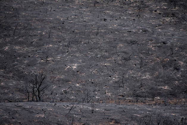 Leo Messi Donates 80,000 Euros for the Reconstruction of Madrid’s Sierra Oeste After the Wildfire View after the wildfire, on August 4, 2026, in Villa del Prado, Madrid, Spain. The president of the Community of Madrid, Isabel Díaz Ayuso, announced on Tuesday that soccer player Leo Messi has donated 80,000 euros for the reconstruction of the region’s Sierra Oeste following the wildfire that has scorched nearly 30,000 hectares. The Community of Madrid has launched a website to channel donations from citizens and companies to support those affected by the fires that impacted 17 municipalities in the Sierra Oeste August 4, 2026 FIRE SCORCHED LAND DONATION MESSI NATURE LANDSCAPE SIERRA OESTE MADRID FIRE MADRID HECTAREBURNT TREES BURNT LAND VILL  Copyright: xGabrixSolerax 7701750