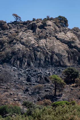 Leo Messi Donates 80,000 Euros for the Reconstruction of Madrid’s Sierra Oeste After the Wildfire View after the wildfire, on August 4, 2026, in Robledo de Chavela, Madrid, Spain. The president of the Community of Madrid, Isabel Díaz Ayuso, announced on Tuesday that soccer player Leo Messi has donated 80,000 euros for the reconstruction of the region’s Sierra Oeste following the wildfire that has scorched nearly 30,000 hectares. The Community of Madrid has launched a website to channel donations from citizens and companies for those affected by the fires that impacted 17 municipalities in the Sierra Oeste August 4, 2026 FIRE SCORCHED LAND DONATION MESSI NATURE LANDSCAPE SIERRA OESTE MADRID FIRE MADRID HECTAREBURNT TREES BURNT LAND Robledo  Copyright: xGabrixSolerax 7701739