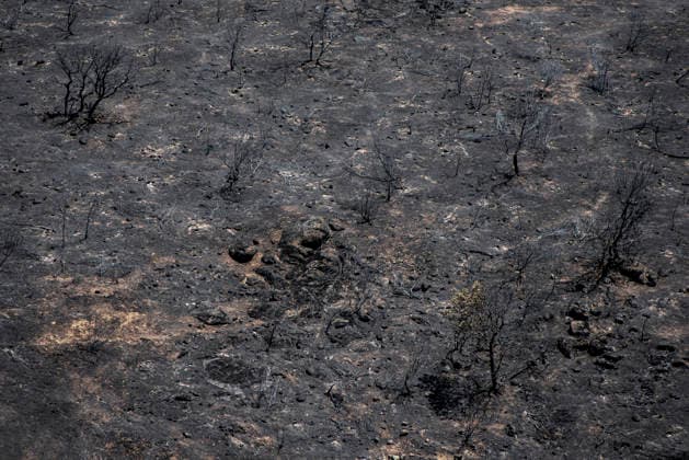 Leo Messi Donates 80,000 Euros for the Reconstruction of Madrid’s Sierra Oeste After the Wildfire View after the wildfire, on August 4, 2026, in Villa del Prado, Madrid, Spain. The president of the Community of Madrid, Isabel Díaz Ayuso, announced on Tuesday that soccer player Leo Messi has donated 80,000 euros for the reconstruction of the region’s Sierra Oeste following the wildfire that has scorched nearly 30,000 hectares. The Community of Madrid has launched a website to channel donations from citizens and companies to support those affected by the fires that impacted 17 municipalities in the Sierra Oeste August 4, 2026 FIRE SCORCHED LAND DONATION MESSI NATURE LANDSCAPE SIERRA OESTE MADRID FIRE MADRID HECTAREBURNT TREES BURNT LAND VILL  Copyright: xGabrixSolerax 7701744