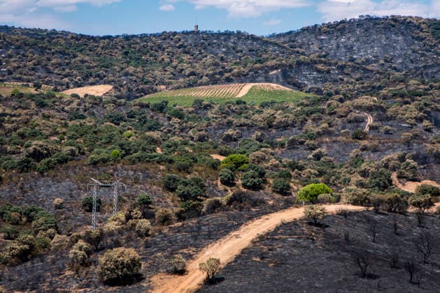 Leo Messi Donates 80,000 Euros for the Reconstruction of Madrid’s Sierra Oeste After the Wildfire View after the wildfire, on August 4, 2026, in Villa del Prado, Madrid, Spain. The president of the Community of Madrid, Isabel Díaz Ayuso, announced on Tuesday that soccer player Leo Messi has donated 80,000 euros for the reconstruction of the region’s Sierra Oeste following the wildfire that has scorched nearly 30,000 hectares. The Community of Madrid has launched a website to channel donations from citizens and companies to support those affected by the fires that impacted 17 municipalities in the Sierra Oeste August 4, 2026 FIRE SCORCHED LAND DONATION MESSI NATURE LANDSCAPE SIERRA OESTE MADRID FIRE MADRID HECTAREBURNT TREES BURNT LAND VILL  Copyright: xGabrixSolerax 7701752