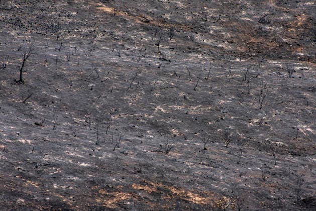 Leo Messi Donates 80,000 Euros for the Reconstruction of Madrid’s Sierra Oeste After the Wildfire View after the wildfire, on August 4, 2026, in Villa del Prado, Madrid, Spain. The president of the Community of Madrid, Isabel Díaz Ayuso, announced on Tuesday that soccer player Leo Messi has donated 80,000 euros for the reconstruction of the region’s Sierra Oeste following the wildfire that has scorched nearly 30,000 hectares. The Community of Madrid has launched a website to channel donations from citizens and companies to support those affected by the fires that impacted 17 municipalities in the Sierra Oeste August 4, 2026 FIRE SCORCHED LAND DONATION MESSI NATURE LANDSCAPE SIERRA OESTE MADRID FIRE MADRID HECTAREBURNT TREES BURNT LAND VILL  Copyright: xGabrixSolerax 7701753