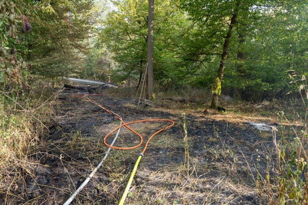 Waldbrand durch Flugzeug gemeldet 200 Quadratmeter Wald brennen bei Gernsheim Am 04.08.2026 brannte am Dienstagnachmittag ein rund 200 Quadratmeter großes Waldstück in Gernsheim-Allmendfeld. Gemeldet wurde das Feuer über die Deutsche Flugsicherung, nachdem ein Luftfahrzeug die Flammen entdeckt hatte. Eine gut sichtbare Rauchsäule machte den Brand bereits auf der Anfahrt der Einsatzkräfte schnell auffindbar. Sofort eingeleitete Löschmaßnahmen verhinderten eine weitere Ausbreitung des Feuers. Ein Polizeihubschrauber unterstützte die Einsatzkräfte mit einer Wärmebildkamera aus der Luft, die Brandursache war zunächst unklar. Gernsheim Allmendfeld Hessen Deutschland *** Forest Fire Reported by Aircraft: 200 Square Meters of Forest