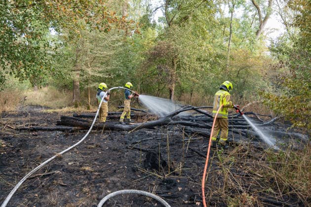 Waldbrand durch Flugzeug gemeldet 200 Quadratmeter Wald brennen bei Gernsheim Am 04.08.2026 brannte am Dienstagnachmittag ein rund 200 Quadratmeter großes Waldstück in Gernsheim-Allmendfeld. Gemeldet wurde das Feuer über die Deutsche Flugsicherung, nachdem ein Luftfahrzeug die Flammen entdeckt hatte. Eine gut sichtbare Rauchsäule machte den Brand bereits auf der Anfahrt der Einsatzkräfte schnell auffindbar. Sofort eingeleitete Löschmaßnahmen verhinderten eine weitere Ausbreitung des Feuers. Ein Polizeihubschrauber unterstützte die Einsatzkräfte mit einer Wärmebildkamera aus der Luft, die Brandursache war zunächst unklar. Gernsheim Allmendfeld Hessen Deutschland *** Forest Fire Reported by Aircraft: 200 Square Meters of Forest