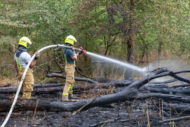 Waldbrand durch Flugzeug gemeldet 200 Quadratmeter Wald brennen bei Gernsheim Am 04.08.2026 brannte am Dienstagnachmittag ein rund 200 Quadratmeter großes Waldstück in Gernsheim-Allmendfeld. Gemeldet wurde das Feuer über die Deutsche Flugsicherung, nachdem ein Luftfahrzeug die Flammen entdeckt hatte. Eine gut sichtbare Rauchsäule machte den Brand bereits auf der Anfahrt der Einsatzkräfte schnell auffindbar. Sofort eingeleitete Löschmaßnahmen verhinderten eine weitere Ausbreitung des Feuers. Ein Polizeihubschrauber unterstützte die Einsatzkräfte mit einer Wärmebildkamera aus der Luft, die Brandursache war zunächst unklar. Gernsheim Allmendfeld Hessen Deutschland *** Forest Fire Reported by Aircraft: 200 Square Meters of Forest