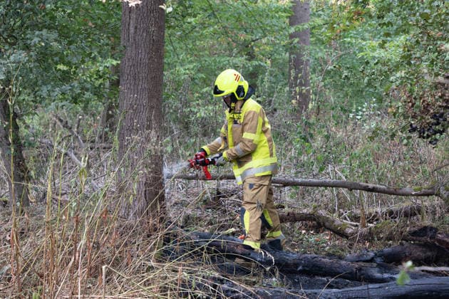 Waldbrand durch Flugzeug gemeldet 200 Quadratmeter Wald brennen bei Gernsheim Am 04.08.2026 brannte am Dienstagnachmittag ein rund 200 Quadratmeter großes Waldstück in Gernsheim-Allmendfeld. Gemeldet wurde das Feuer über die Deutsche Flugsicherung, nachdem ein Luftfahrzeug die Flammen entdeckt hatte. Eine gut sichtbare Rauchsäule machte den Brand bereits auf der Anfahrt der Einsatzkräfte schnell auffindbar. Sofort eingeleitete Löschmaßnahmen verhinderten eine weitere Ausbreitung des Feuers. Ein Polizeihubschrauber unterstützte die Einsatzkräfte mit einer Wärmebildkamera aus der Luft, die Brandursache war zunächst unklar. Gernsheim Allmendfeld Hessen Deutschland *** Forest Fire Reported by Aircraft: 200 Square Meters of Forest