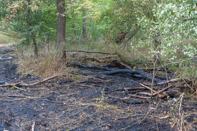 Waldbrand durch Flugzeug gemeldet 200 Quadratmeter Wald brennen bei Gernsheim Am 04.08.2026 brannte am Dienstagnachmittag ein rund 200 Quadratmeter großes Waldstück in Gernsheim-Allmendfeld. Gemeldet wurde das Feuer über die Deutsche Flugsicherung, nachdem ein Luftfahrzeug die Flammen entdeckt hatte. Eine gut sichtbare Rauchsäule machte den Brand bereits auf der Anfahrt der Einsatzkräfte schnell auffindbar. Sofort eingeleitete Löschmaßnahmen verhinderten eine weitere Ausbreitung des Feuers. Ein Polizeihubschrauber unterstützte die Einsatzkräfte mit einer Wärmebildkamera aus der Luft, die Brandursache war zunächst unklar. Gernsheim Allmendfeld Hessen Deutschland *** Forest Fire Reported by Aircraft: 200 Square Meters of Forest