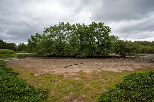 August 4, 2026, Epsom, Surrey, United Kingdom: The Stew Pond on Epsom Common has partly dried up after weeks of exceptionally dry weather during the UK s fourth heatwave of the summer. As temperatures begin to ease, signaling the end of the UK s fourth heat wave of the summer, the impact of weeks of exceptional heat remains visible across Surrey. The South East is still on the brink of drought, with parched fields, scorched grassland and dried landscapes reflecting one of the driest summers in recent years. The prolonged lack of rainfall continues to affect the countryside, wildlife and local water resources. Epsom United Kingdom  - ZUMAs197 20260804_aaa_s197_086 Copyright: xJamesxWilloughbyx