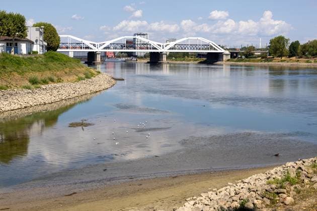 Extremes Niedrigwasser am Rhein in Mannheim und Ludwigshafen. Hier lag der Pegelstand zum Zeitpunkt der Aufnahme bei 85 cm. Das Bild wurde auf der Parkinsel Ludwigshafen aufgenommen *** Extremely low water levels on the Rhine in Mannheim and Ludwigshafen. At the time the photo was taken, the water level here was 85 cm. The photo was taken on Parkinsel in Ludwigshafen. Copyright: xUdoxHerrmannx