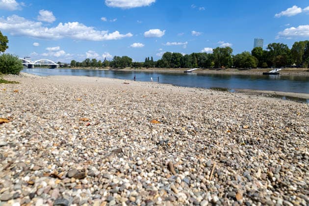Extremes Niedrigwasser am Rhein in Mannheim und Ludwigshafen. Hier lag der Pegelstand zum Zeitpunkt der Aufnahme bei 85 cm. Das Bild wurde auf der Parkinsel Ludwigshafen aufgenommen *** Extremely low water levels on the Rhine in Mannheim and Ludwigshafen. At the time the photo was taken, the water level here was 85 cm. The photo was taken on Parkinsel in Ludwigshafen. Copyright: xUdoxHerrmannx