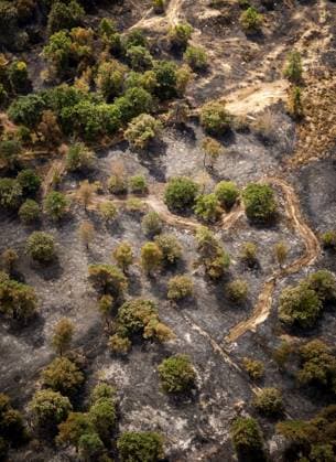 OOSTRUM - Aerial photos of the Boschhuizerbergen nature reserve near Venray in Limburg, where the fire department is battling a large wildfire. The fire department is receiving assistance from Belgium in fighting the fire. SEM VAN DER WAL ANP netherlands out - belgium out  Copyright: xx x564915447x originalFilename: 564915447.jpg