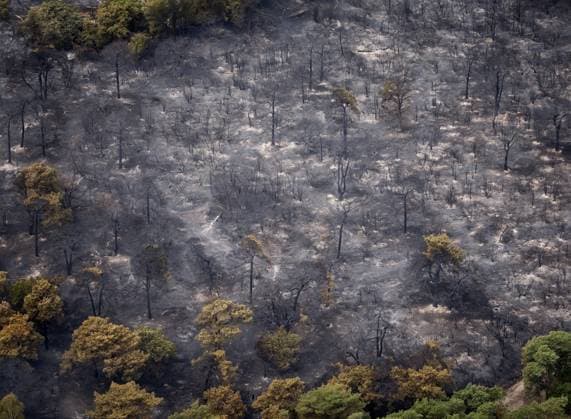 OOSTRUM - Aerial photos of the Boschhuizerbergen nature reserve near Venray in Limburg, where the fire department is battling a large wildfire. The fire department is receiving assistance from Belgium in fighting the fire. SEM VAN DER WAL ANP netherlands out - belgium out  Copyright: xx x564915829x originalFilename: 564915829.jpg