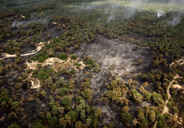OOSTRUM - Aerial photos of the Boschhuizerbergen nature reserve near Venray in Limburg, where the fire department is battling a large wildfire. The fire department is receiving assistance from Belgium in fighting the fire. SEM VAN DER WAL ANP netherlands out - belgium out  Copyright: xx x564916088x originalFilename: 564916088.jpg
