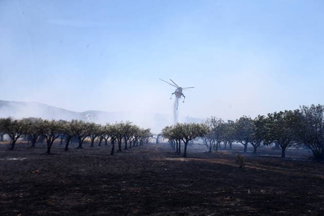 August 5, 2026, Koropi, Greece: Firefighters battle a wildfire in the Koropi area, southeast of Athens, as helicopters carry out repeated water drops to contain the flames. Ground crews worked alongside aerial firefighting units to prevent the fire from spreading amid dry conditions and strong winds. Koropi Greece  - ZUMAv62_ 20260805_zaf_v62_007 Copyright: xAristidisxVafeiadakisx