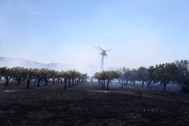 August 5, 2026, Koropi, Greece: Firefighters battle a wildfire in the Koropi area, southeast of Athens, as helicopters carry out repeated water drops to contain the flames. Ground crews worked alongside aerial firefighting units to prevent the fire from spreading amid dry conditions and strong winds. Koropi Greece - ZUMAv62_ 20260805_zaf_v62_005 Copyright: xAristidisxVafeiadakisx