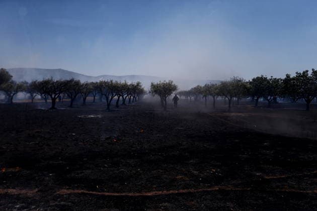 August 5, 2026, Koropi, Greece: Firefighters battle a wildfire in the Koropi area, southeast of Athens, as helicopters carry out repeated water drops to contain the flames. Ground crews worked alongside aerial firefighting units to prevent the fire from spreading amid dry conditions and strong winds. Koropi Greece - ZUMAv62_ 20260805_zaf_v62_019 Copyright: xAristidisxVafeiadakisx
