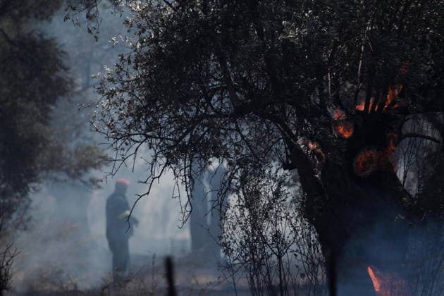 August 5, 2026, Koropi, Greece: Firefighters battle a wildfire in the Koropi area, southeast of Athens, as helicopters carry out repeated water drops to contain the flames. Ground crews worked alongside aerial firefighting units to prevent the fire from spreading amid dry conditions and strong winds. Koropi Greece  - ZUMAv62_ 20260805_zaf_v62_057 Copyright: xAristidisxVafeiadakisx