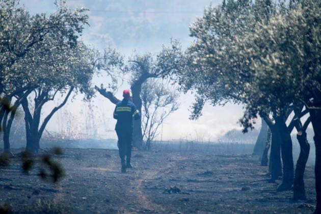 August 5, 2026, Koropi, Greece: Firefighters battle a wildfire in the Koropi area, southeast of Athens, as helicopters carry out repeated water drops to contain the flames. Ground crews worked alongside aerial firefighting units to prevent the fire from spreading amid dry conditions and strong winds. Koropi Greece - ZUMAv62_ 20260805_zaf_v62_039 Copyright: xAristidisxVafeiadakisx