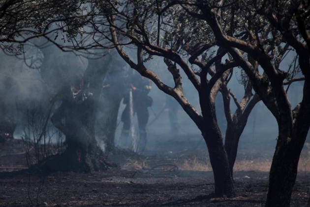 August 5, 2026, Koropi, Greece: Firefighters battle a wildfire in the Koropi area, southeast of Athens, as helicopters carry out repeated water drops to contain the flames. Ground crews worked alongside aerial firefighting units to prevent the fire from spreading amid dry conditions and strong winds. Koropi Greece  - ZUMAv62_ 20260805_zaf_v62_079 Copyright: xAristidisxVafeiadakisx