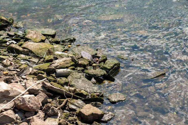 Historisch: Rheinpegel durchbricht erneut Allzeit tief erstmalig 19 cm am Pegel Kaub gemessen Der Pegel des Rheins erreicht einen historischen Tiefstand. Nachdem der Pegel Kaub in den vergangenen 24 Stunden erneut um acht Zentimeter gefallen war, erreichte er am Mittwochnachmittag, 05.08.2026, erstmalig den Stand von 19 cm. Kurzzeitig wurden sogar 18 cm Pegelstand erreicht. Bereits seit Wochen ist die Schifffahrt durch den Wassermangel erheblich behindert. Der heutige Tiefstand dürfte die Situation noch verschärfen. Kaub Rheinland-Pfalz Deutschland *** Rhine Water Level Hits New All-Time Low; 19 cm Recorded for the First Time at the Kaub Gauge The Rhine’s water level has reached a historic low. After the Kaub gauge dropped another ei