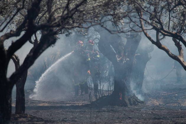 August 5, 2026, Koropi, Greece: Firefighters battle a wildfire in the Koropi area, southeast of Athens, as helicopters carry out repeated water drops to contain the flames. Ground crews worked alongside aerial firefighting units to prevent the fire from spreading amid dry conditions and strong winds. Koropi Greece - ZUMAv62_ 20260805_zaf_v62_081 Copyright: xAristidisxVafeiadakisx
