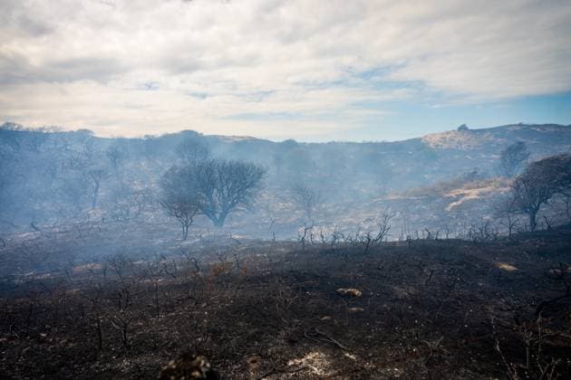 WASSENAAR - A fire in the dunes near Wassenaar. The fire department has dispatched many personnel and vehicles to the scene. JOSH WALET ANP netherlands out - belgium out  Copyright: xx x564921019x originalFilename: 564921019.jpg
