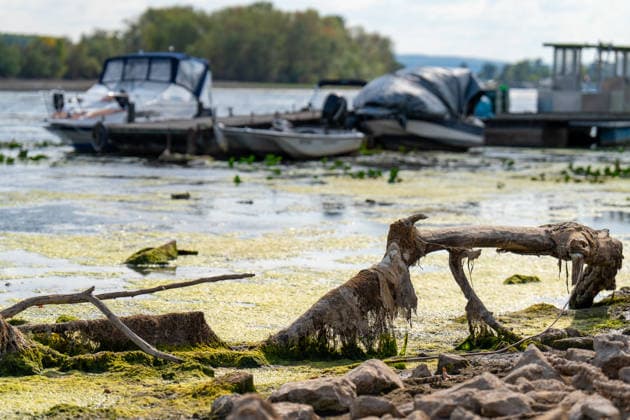 Niedrigwasser am Rhein bei Oestrich-Winkel Der Pegel des Rheins erreicht einen historischen Tiefstand. Nachdem der Pegel Kaub in den vergangenen 24 Stunden erneut um acht Zentimeter gefallen war, erreichte er am Mittwochnachmittag, 05.08.2026, erstmalig den Stand von 18 cm. Kurzzeitig wurden sogar 17 cm Pegelstand erreicht. Bereits seit Wochen ist die Schifffahrt durch den Wassermangel erheblich behindert. Der heutige Tiefstand dürfte die Situation noch verschärfen. Oestrich-Winkel Hessen Deutschland *** Low Water Levels on the Rhine Near Oestrich-Winkel The Rhine’s water level has reached a historic low. After the water level at Kaub had fallen another eight centimeters over the past 24 hours, it reached August 5, 2026, the level reache