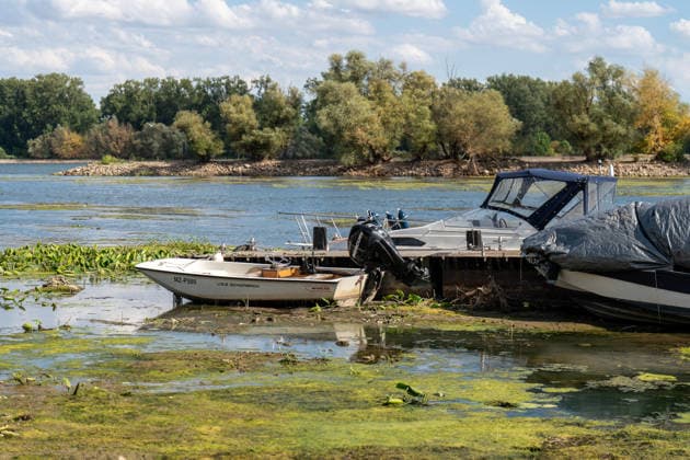 Niedrigwasser am Rhein bei Oestrich-Winkel Der Pegel des Rheins erreicht einen historischen Tiefstand. Nachdem der Pegel Kaub in den vergangenen 24 Stunden erneut um acht Zentimeter gefallen war, erreichte er am Mittwochnachmittag, 05.08.2026, erstmalig den Stand von 18 cm. Kurzzeitig wurden sogar 17 cm Pegelstand erreicht. Bereits seit Wochen ist die Schifffahrt durch den Wassermangel erheblich behindert. Der heutige Tiefstand dürfte die Situation noch verschärfen. Oestrich-Winkel Hessen Deutschland *** Low Water Levels on the Rhine Near Oestrich-Winkel The Rhine’s water level has reached a historic low. After the water level at Kaub had fallen another eight centimeters over the past 24 hours, it reached August 5, 2026, the level reache