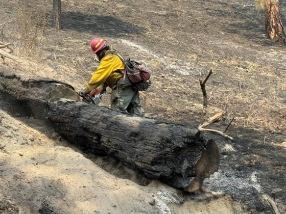August 5, 2026, Spokane, Wa, United States: Wildland fire crew 18, mops up after flames passed through a forested area at the Autumn Lane Fire, extinguishing the remaining hot spots, August 4, 2026 near Spokane, Washington. The Autumn Lane Fire is now the largest of the three Spokane Complex fires. Spokane United States - ZUMAp138 20260805_zaa_p138_020 Copyright: xHandout UsxForestx