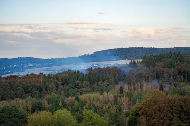 Mehr als 20.000 Quadratmeter Wald in Brand 150 Einsatzkräfte bei Hitze im Großeinsatz In einem Waldgebiet zwischen Bad Schwalbach-Hettenhain und Taunusstein-Seitzenhahn brach am 05.08.2026 gegen 13:20 Uhr ein Waldbrand aus. Ein Fichtenbestand stand beim Eintreffen der Einsatzkräfte bis in die Baumkronen in Flammen, Wind sorgte für eine schnelle Ausbreitung auf über 20.000 Quadratmeter. Der größte Brandbereich war zu diesem Zeitpunkt weitgehend eingedämmt, galt jedoch weiterhin nicht als unter Kontrolle, da Wind und Funkenflug neue Spotfeuer entstehen ließen. Rund 150 Einsatzkräfte aus dem Rheingau-Taunus-Kreis und aus Wiesbaden waren im Einsatz, eine Einsatzkraft wurde leicht verletzt. Bad Schwalbach Hessen Deutschland *** Mo