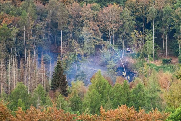 Mehr als 20.000 Quadratmeter Wald in Brand 150 Einsatzkräfte bei Hitze im Großeinsatz In einem Waldgebiet zwischen Bad Schwalbach-Hettenhain und Taunusstein-Seitzenhahn brach am 05.08.2026 gegen 13:20 Uhr ein Waldbrand aus. Ein Fichtenbestand stand beim Eintreffen der Einsatzkräfte bis in die Baumkronen in Flammen, Wind sorgte für eine schnelle Ausbreitung auf über 20.000 Quadratmeter. Der größte Brandbereich war zu diesem Zeitpunkt weitgehend eingedämmt, galt jedoch weiterhin nicht als unter Kontrolle, da Wind und Funkenflug neue Spotfeuer entstehen ließen. Rund 150 Einsatzkräfte aus dem Rheingau-Taunus-Kreis und aus Wiesbaden waren im Einsatz, eine Einsatzkraft wurde leicht verletzt. Bad Schwalbach Hessen Deutschland *** Mo